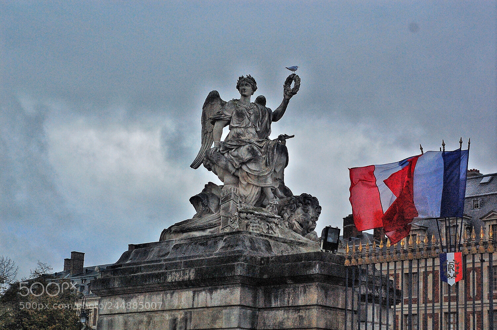 Nikon D40 sample photo. Untitled photography