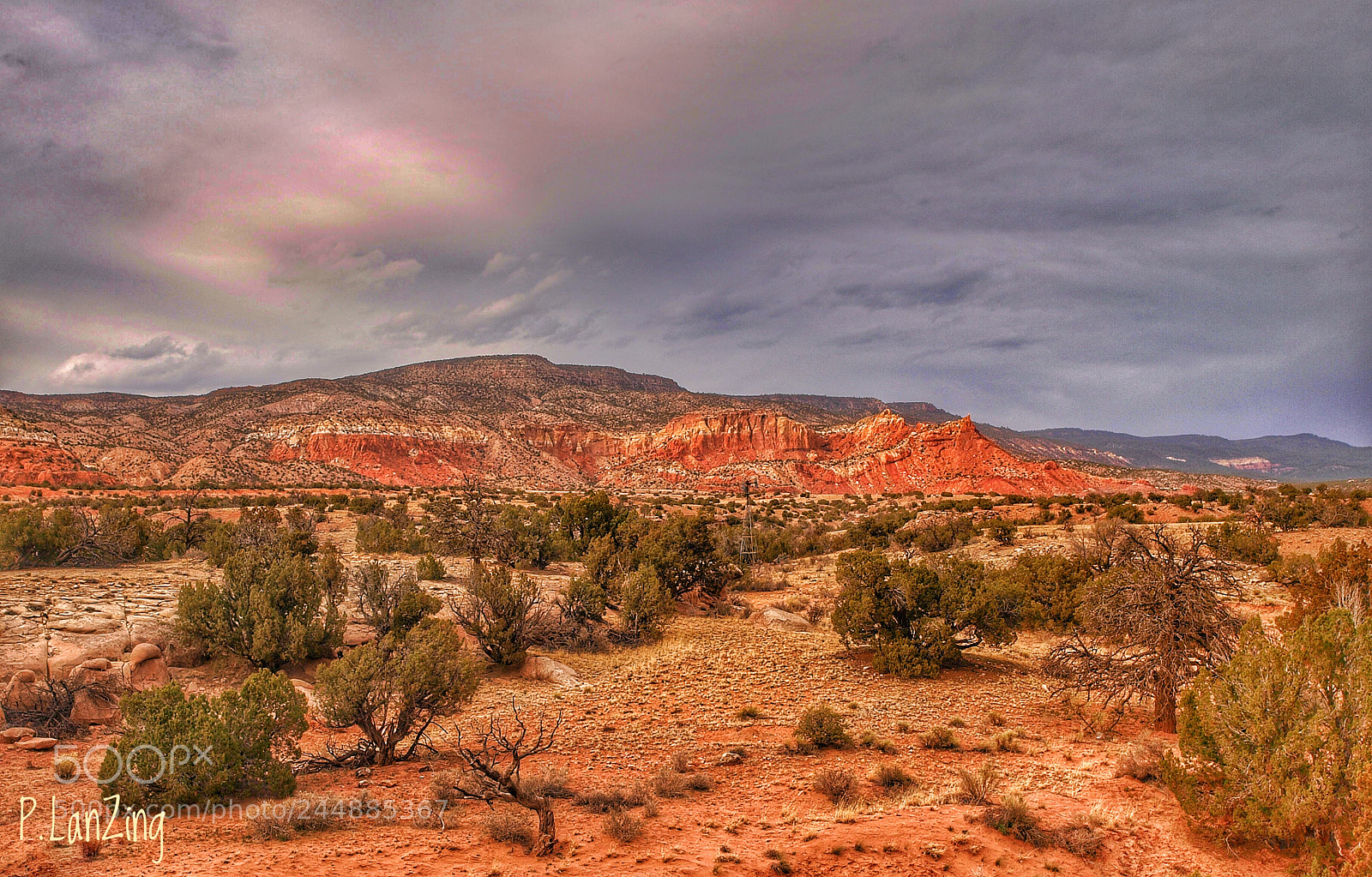 Olympus E-3 sample photo. New mexico color photography