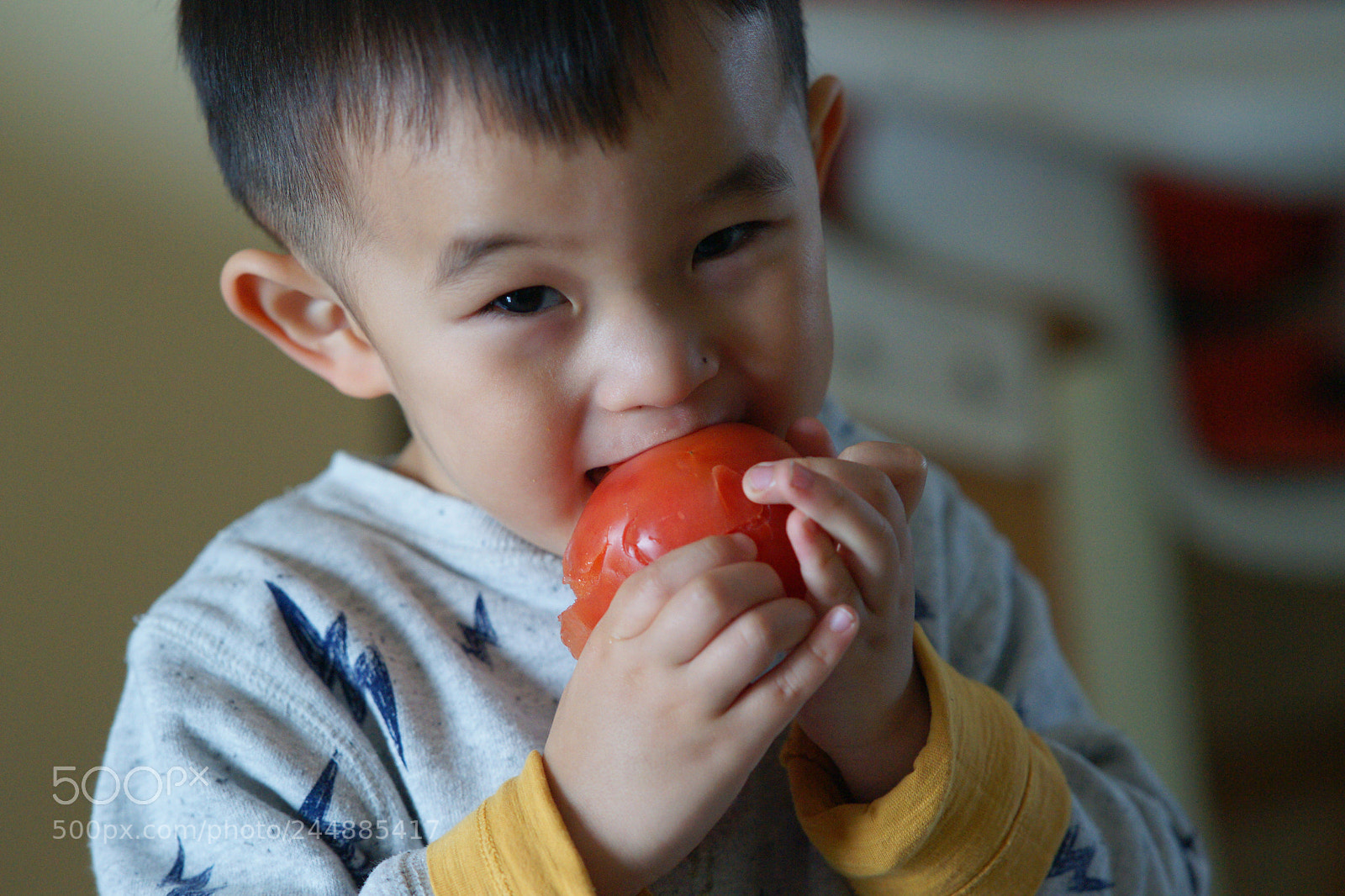 Sony Alpha DSLR-A850 sample photo. Untitled photography