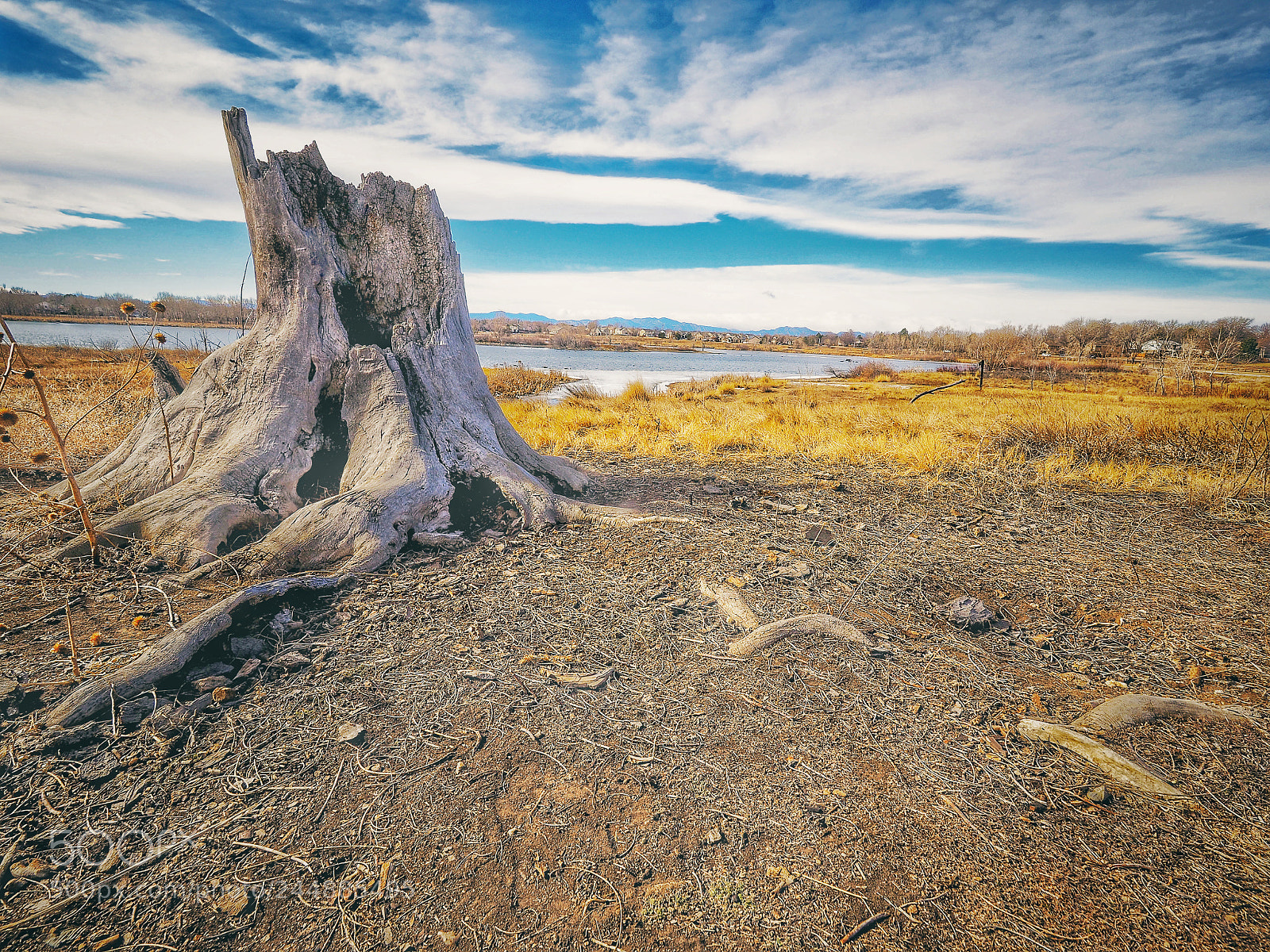 Olympus OM-D E-M10 II sample photo. Eastlake park 2 /3 /18 thornton colorado photography