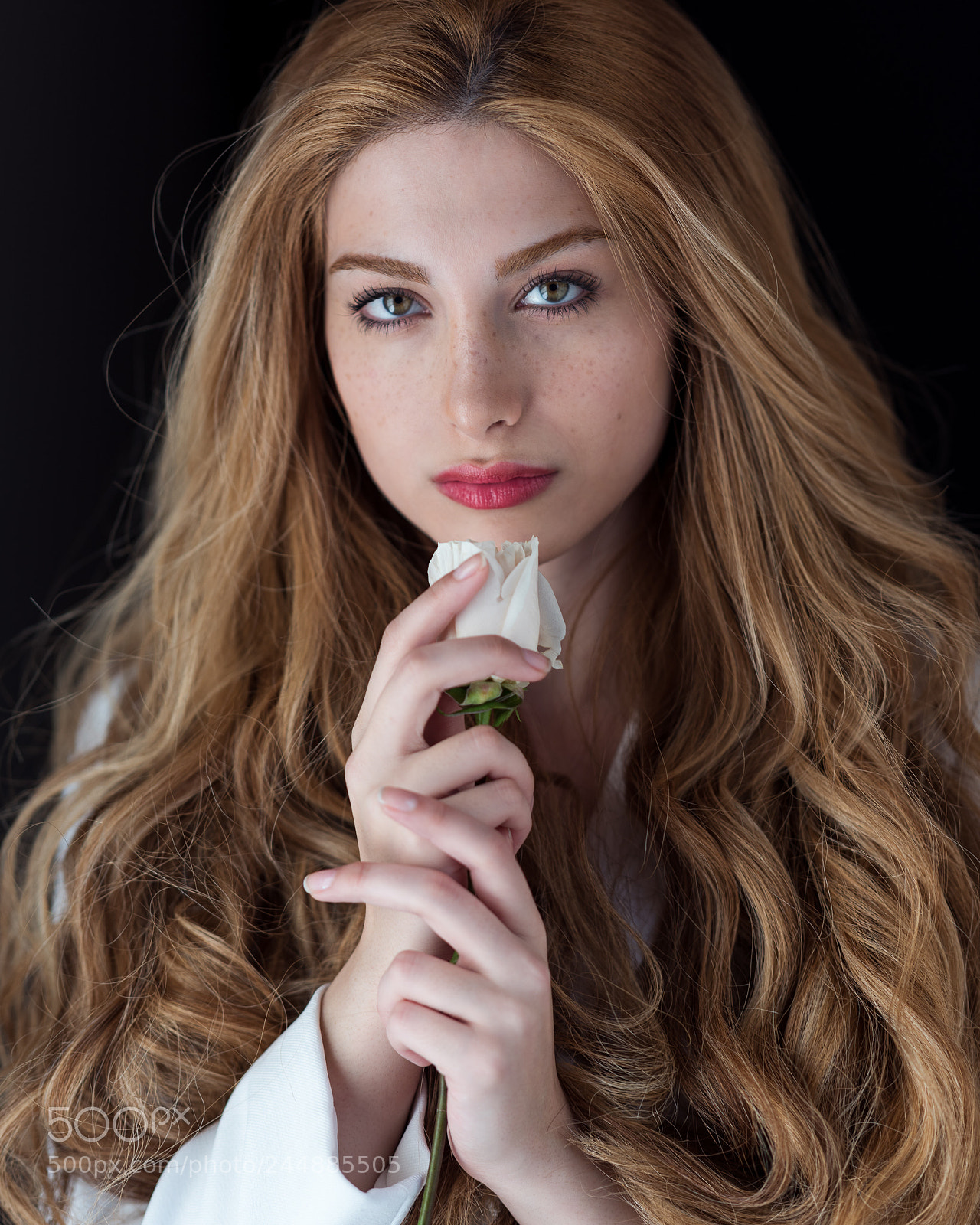 Nikon D810 sample photo. Ava white rose photography