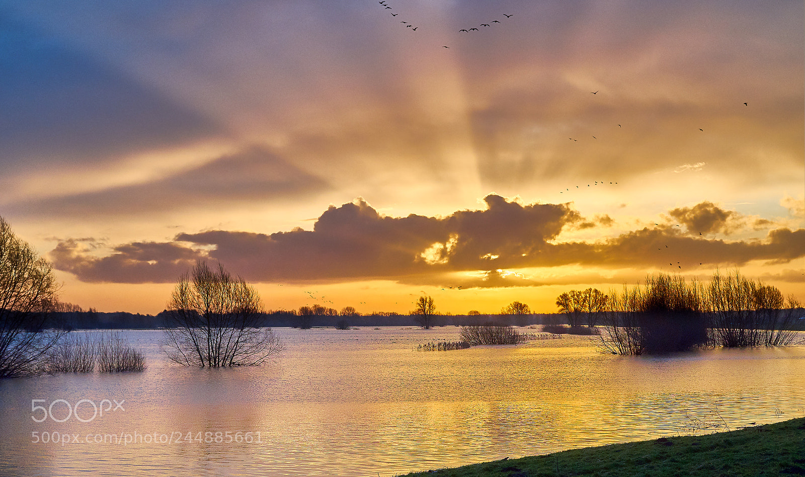 Olympus OM-D E-M1 sample photo. Godrays over the swollen photography