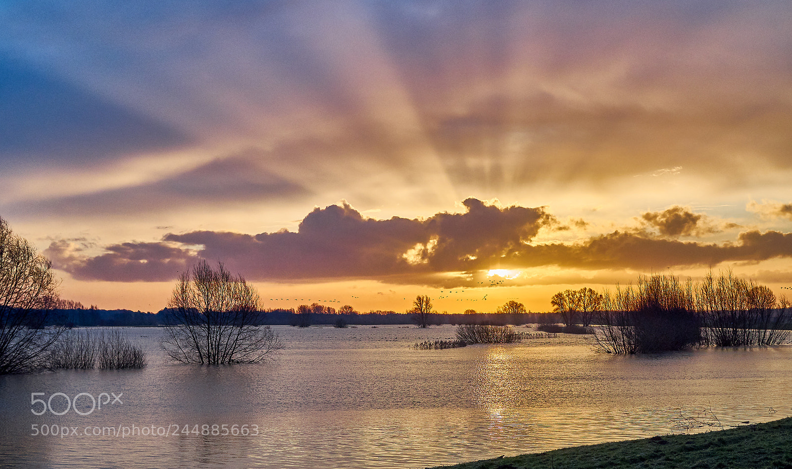 Olympus OM-D E-M1 sample photo. Sunrise over the river photography