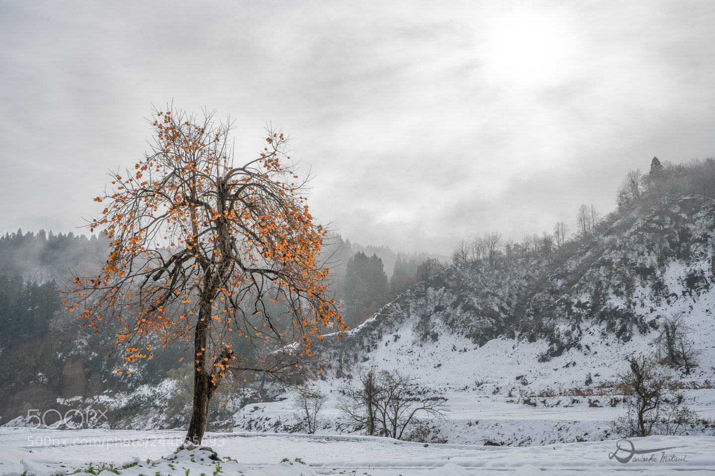 Nikon D850 sample photo. Chromatic and achromatic colors photography