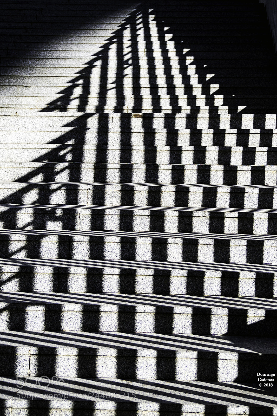 Olympus OM-D E-M10 II sample photo. Sombras photography