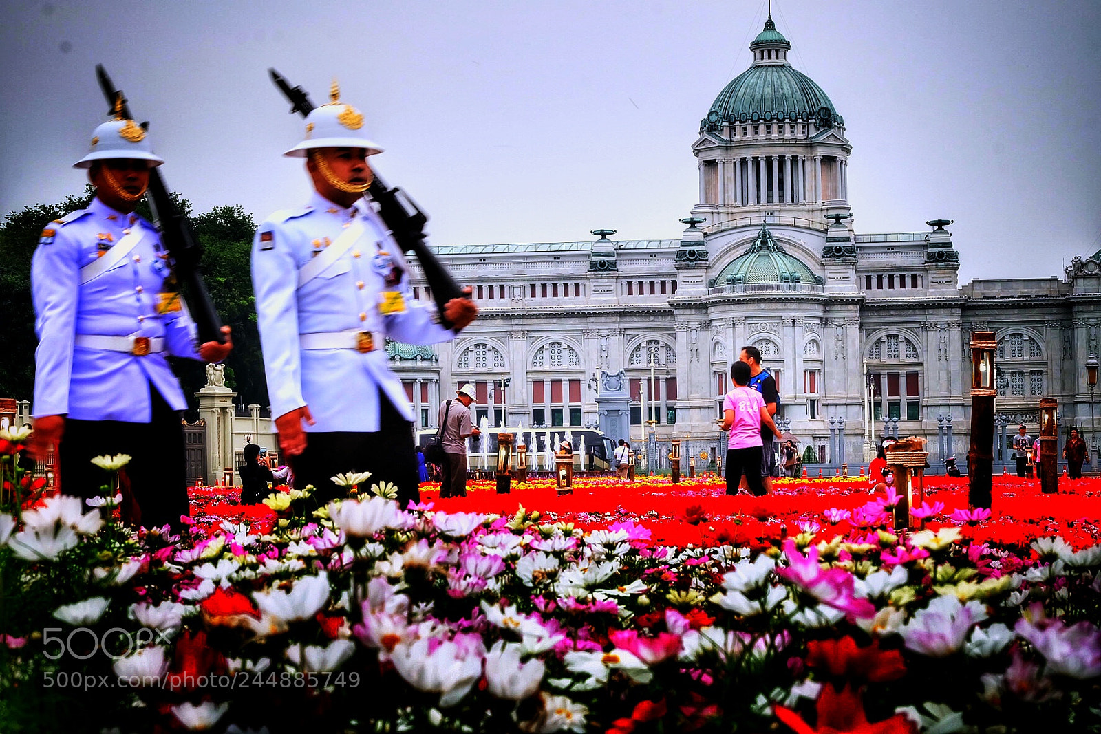 Fujifilm X-A2 sample photo. Red flowers photography