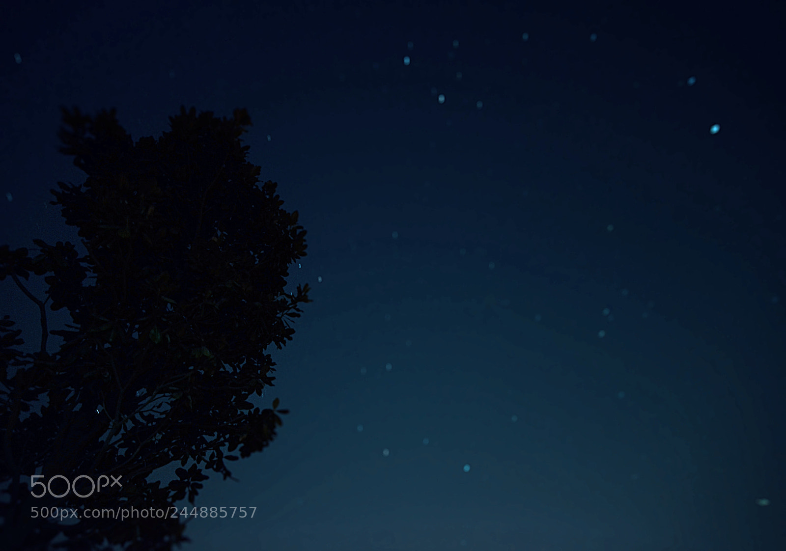 Nikon D610 sample photo. Country night photography