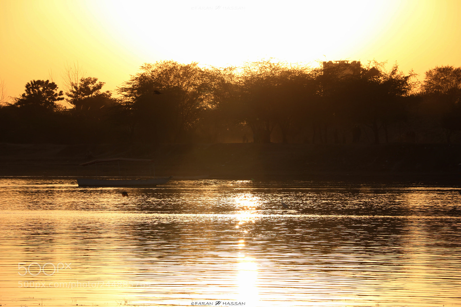 Canon EOS 760D (EOS Rebel T6s / EOS 8000D) sample photo. Misty sunset photography