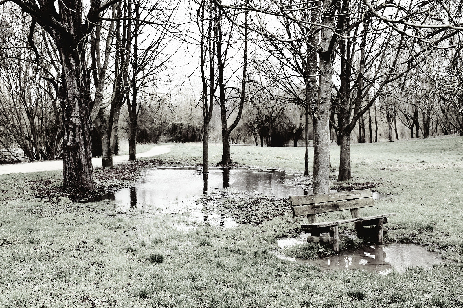 Nikon D5600 sample photo. A bench in a photography