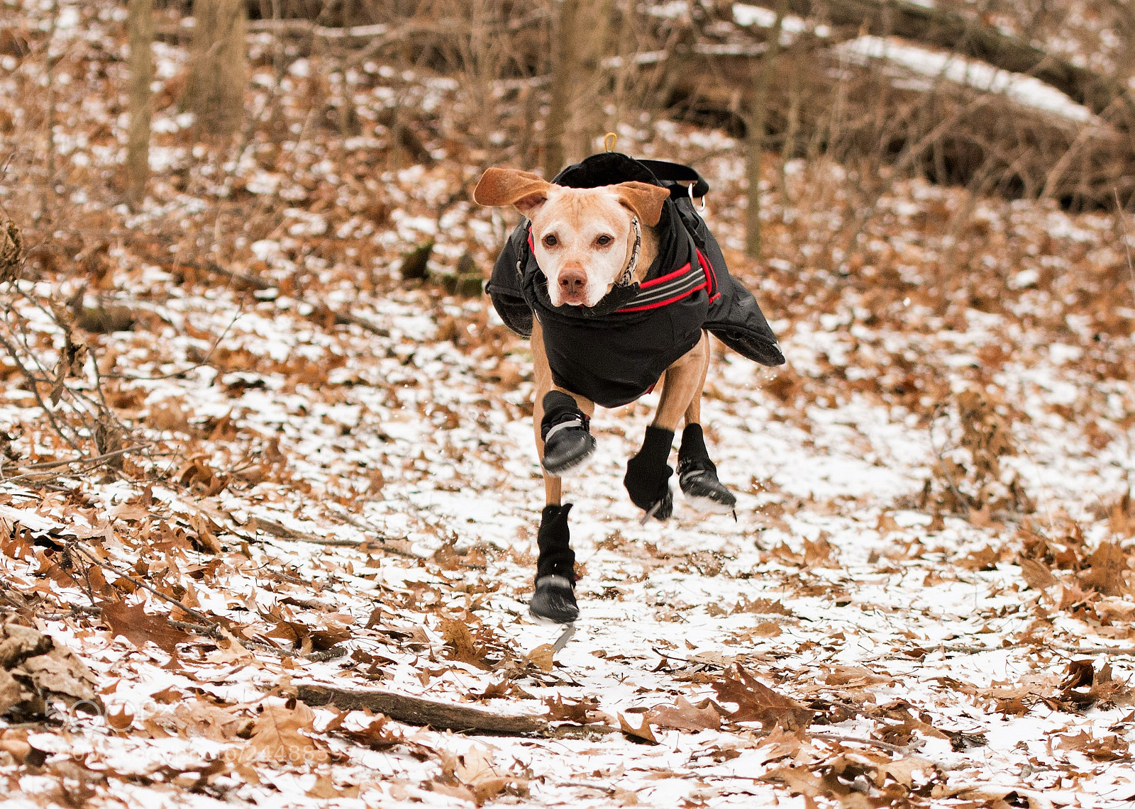 Nikon D7100 sample photo. Running with purpose photography