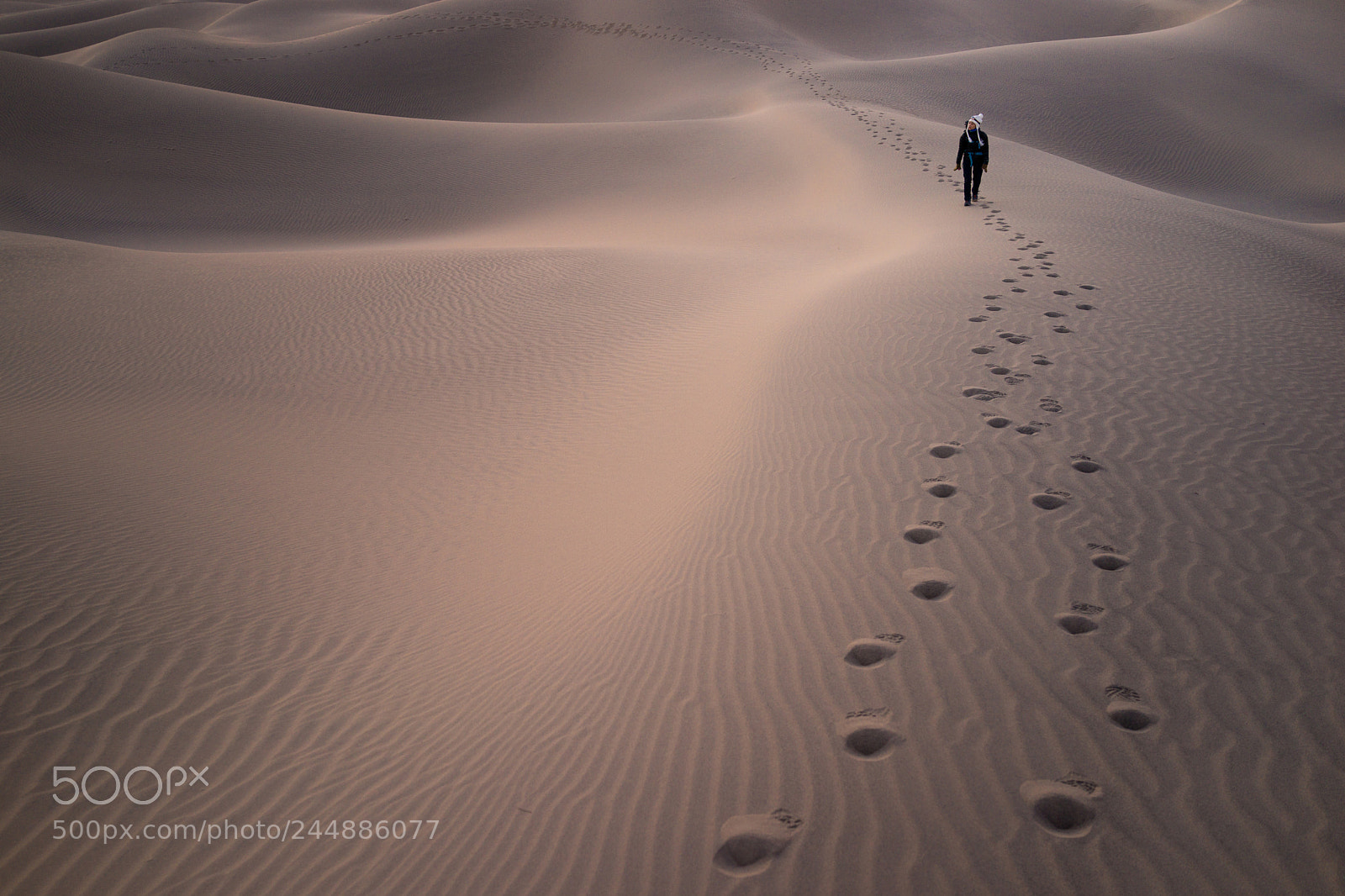 Sony Cyber-shot DSC-RX1 sample photo. Mesquite flat sand dune photography