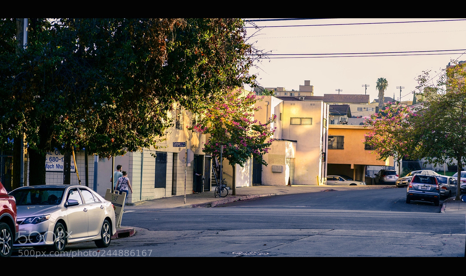 Sony a7R II sample photo. Dsc photography