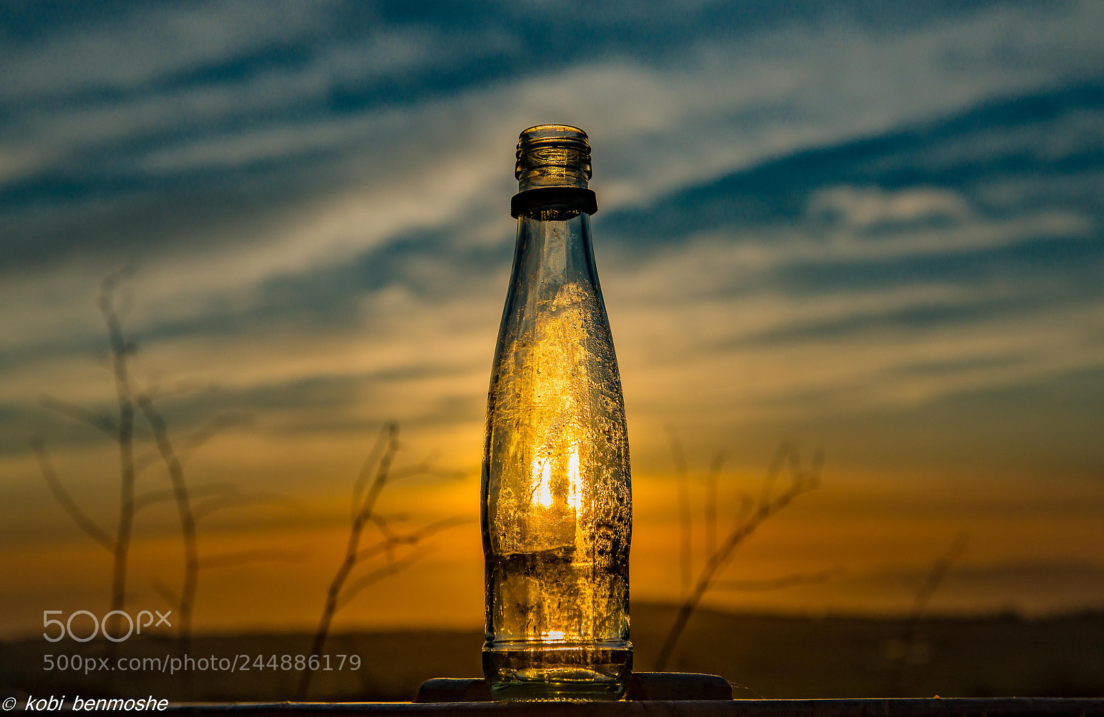 Nikon D800 sample photo. Soda photography