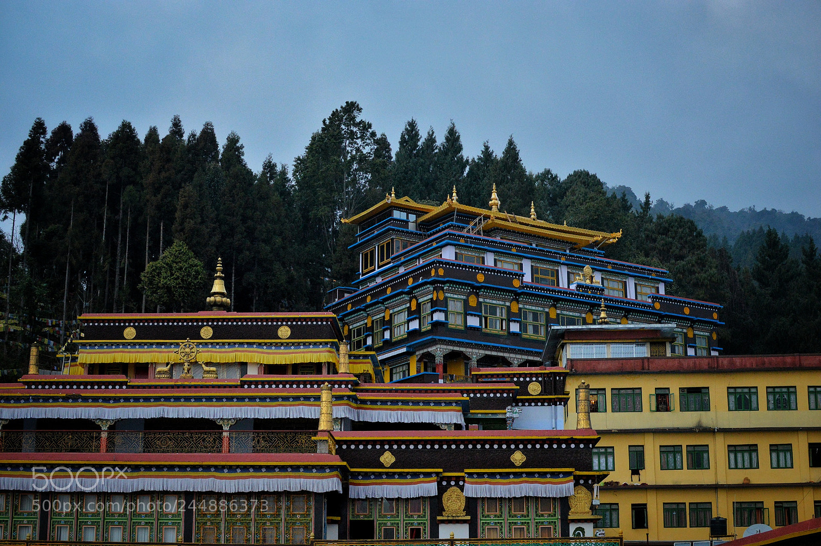 Nikon D3200 sample photo. Rumtek monastery photography