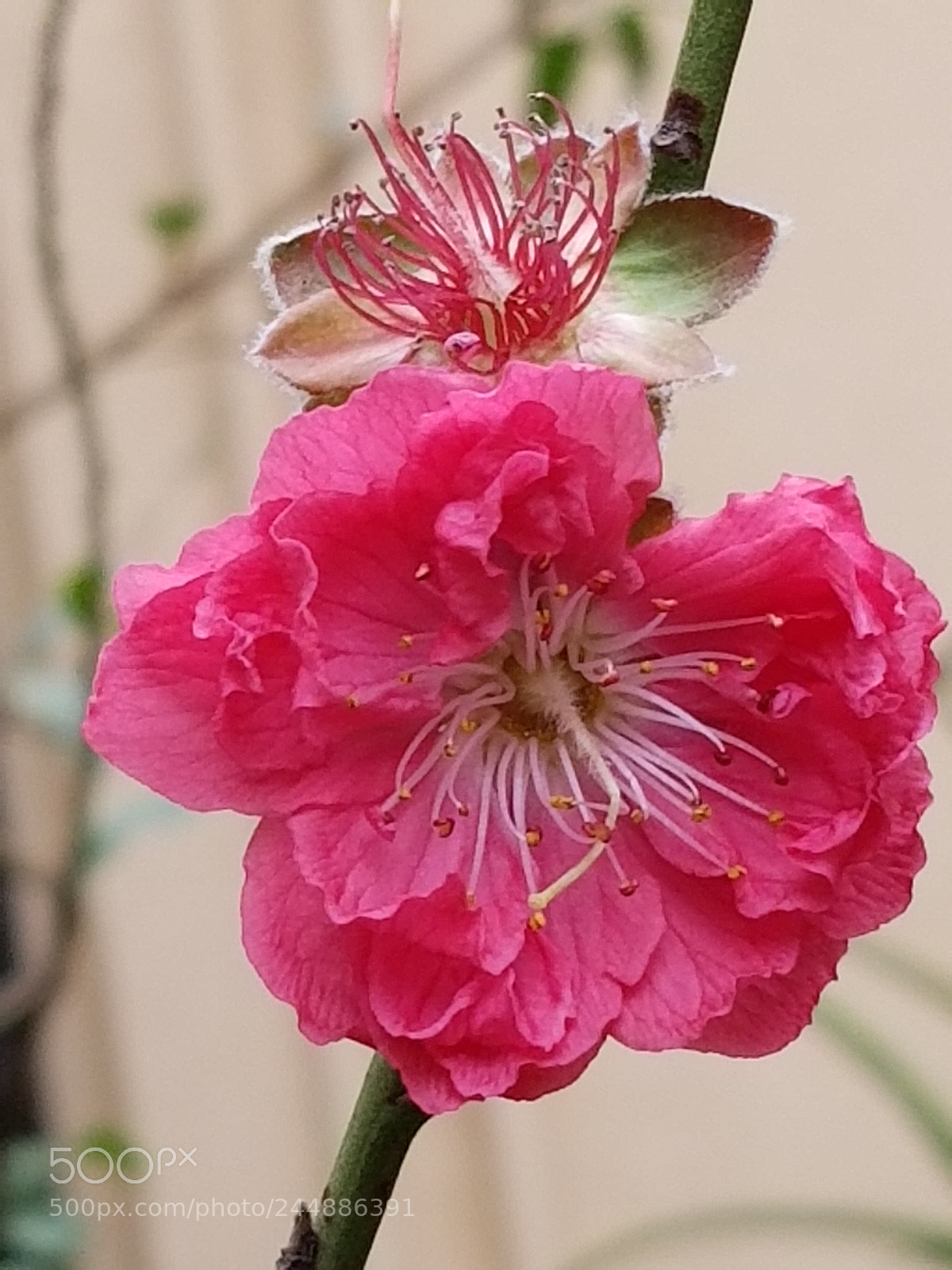 Samsung Galaxy S8 sample photo. Untitled photography