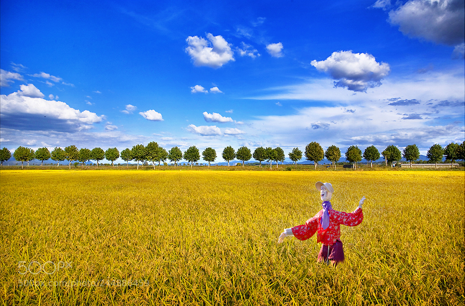 Canon EOS 5D sample photo. 가을들녘과 허수아비 photography