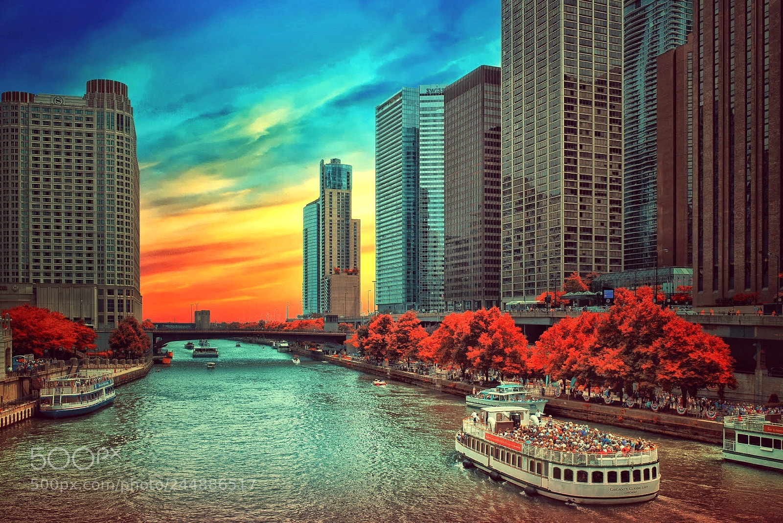 Nikon D600 sample photo. Chicago river. photography