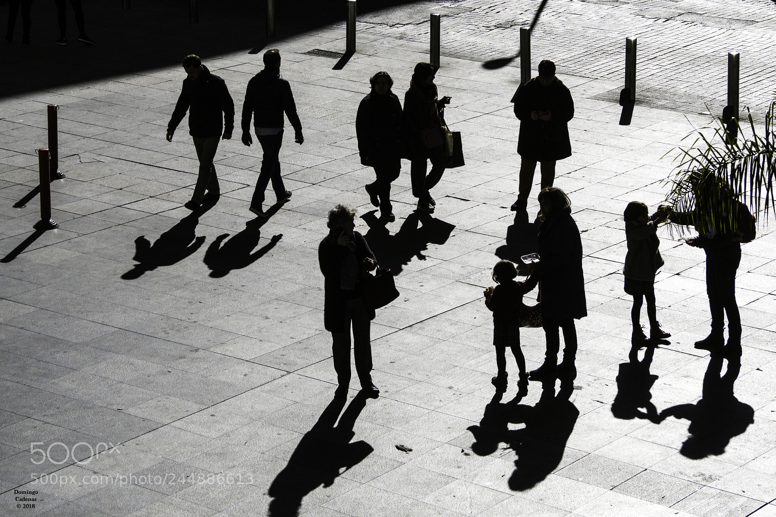 Olympus OM-D E-M10 II sample photo. Sombras photography