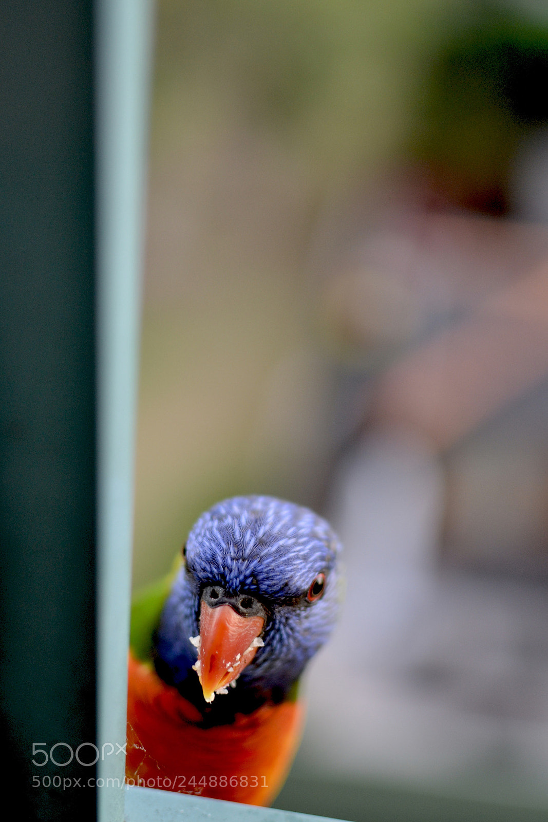 Nikon D3100 sample photo. Untitled photography