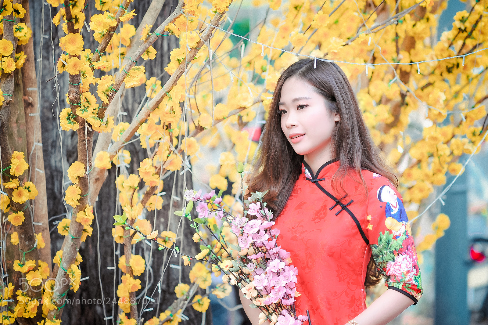 Nikon D700 sample photo. The flower in the photography