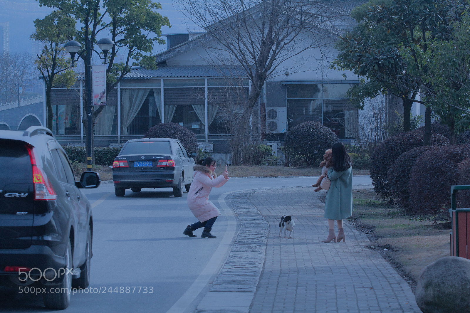 Canon EOS 60D sample photo. Family. photography