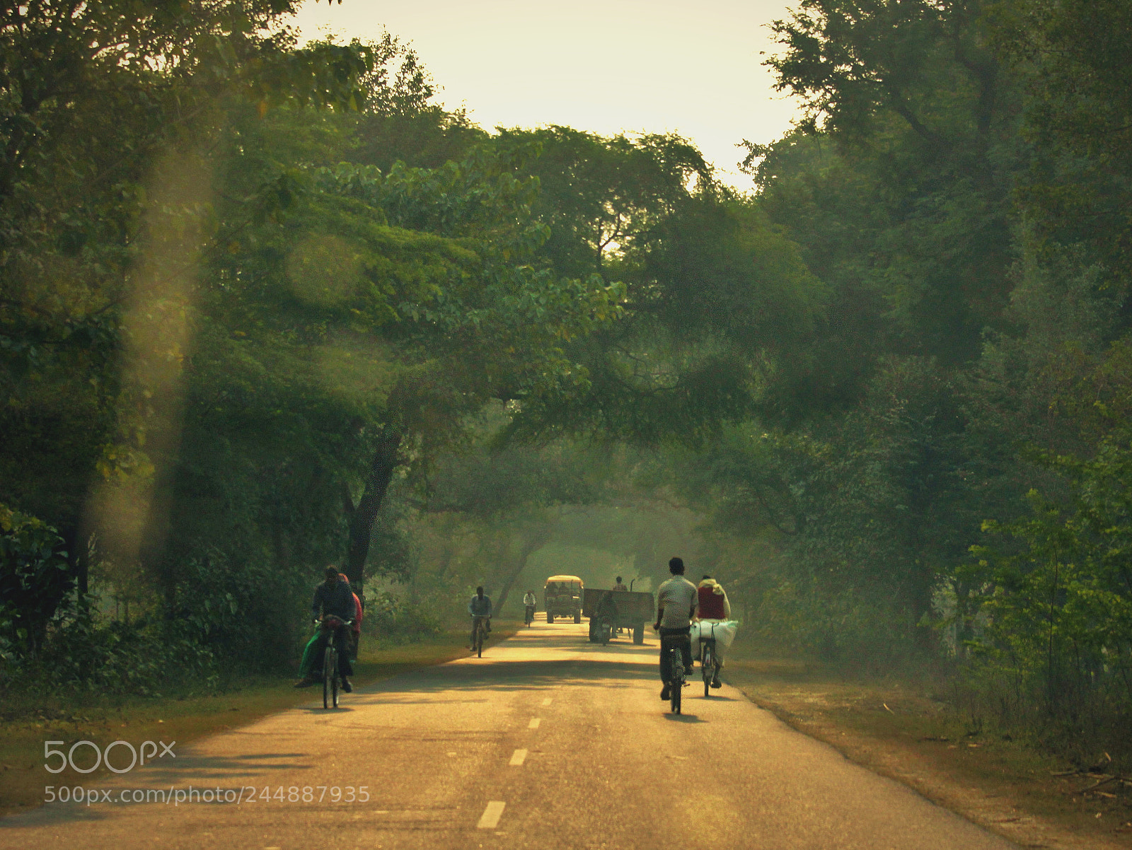 Canon EOS 550D (EOS Rebel T2i / EOS Kiss X4) sample photo. Rural india photography