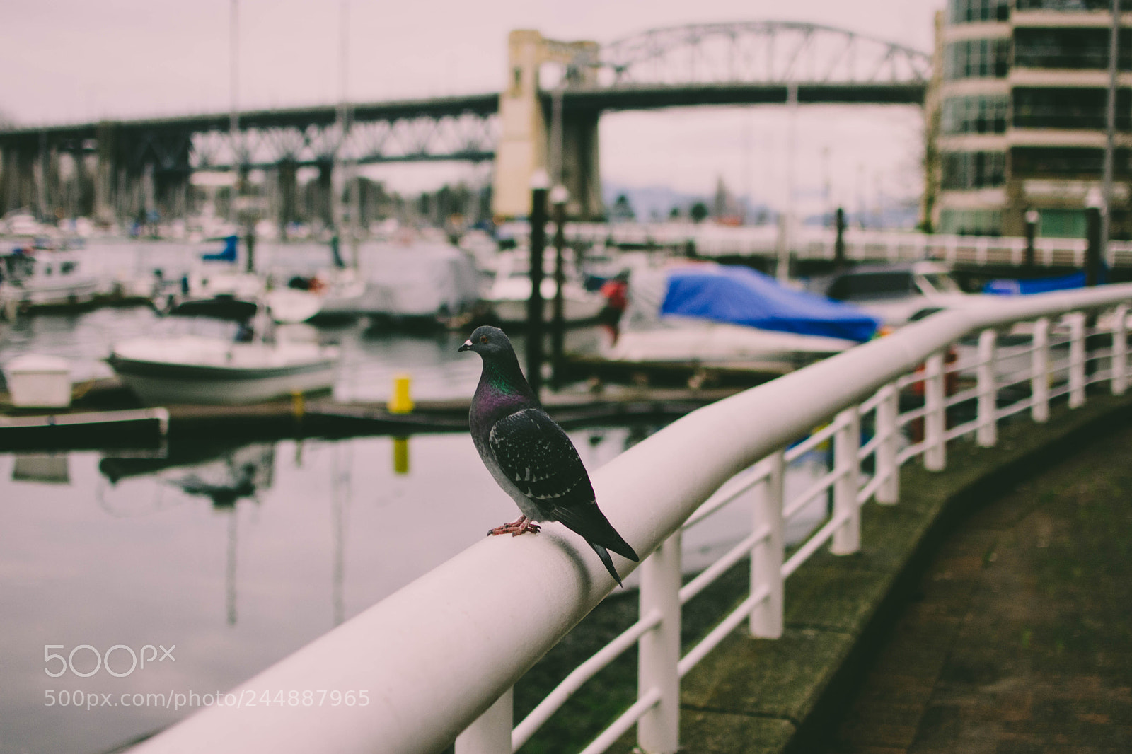Nikon D7200 sample photo. City 1 photography