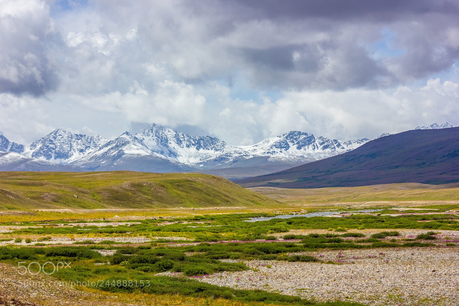 Canon EOS 550D (EOS Rebel T2i / EOS Kiss X4) sample photo. Deosai photography