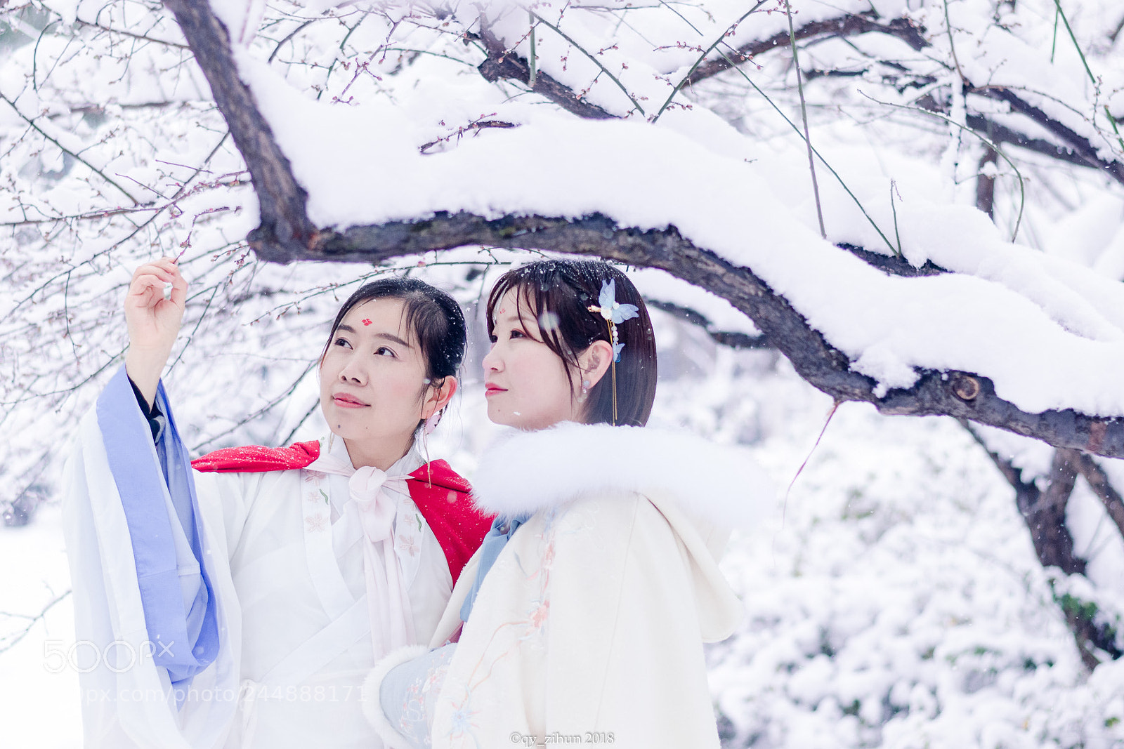 Nikon D5100 sample photo. 雪 photography