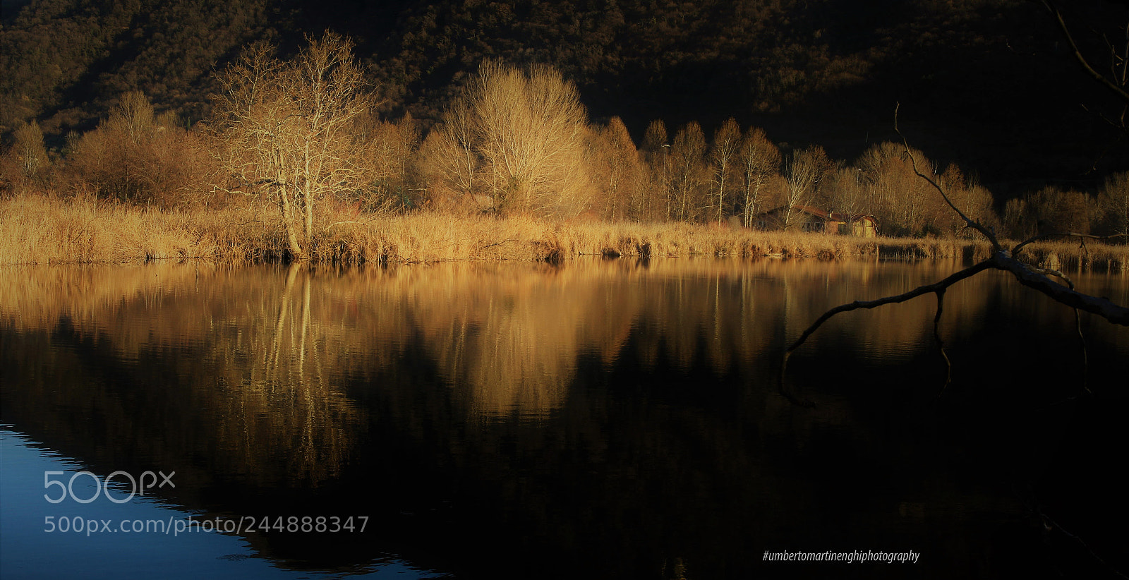 Canon EOS 7D Mark II sample photo. Torbiere del sebino photography