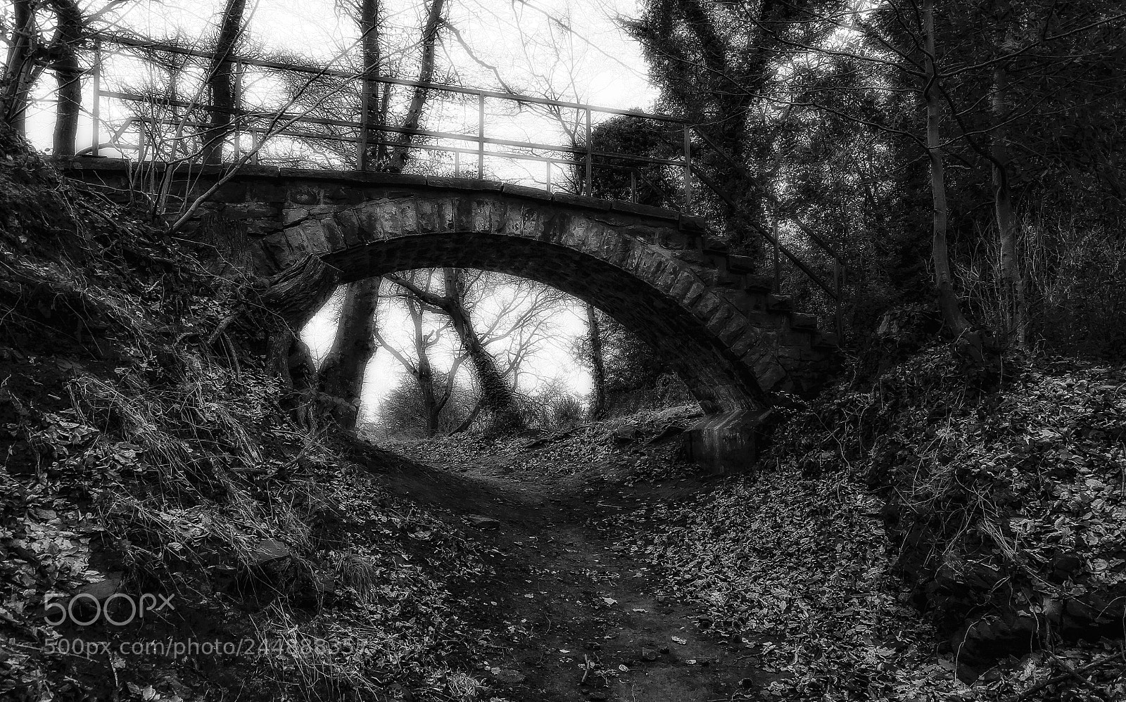 Nikon D700 sample photo. "bridge into the dreamland" photography
