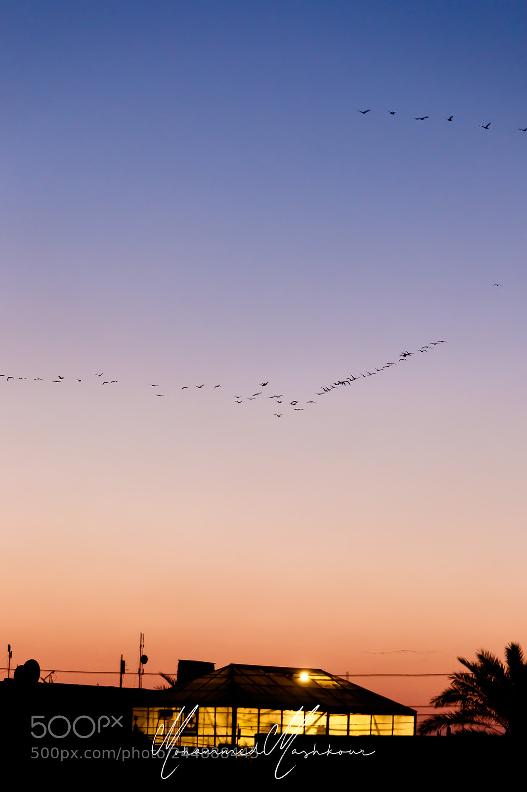 Canon EOS 7D Mark II sample photo. Baghdad sky photography