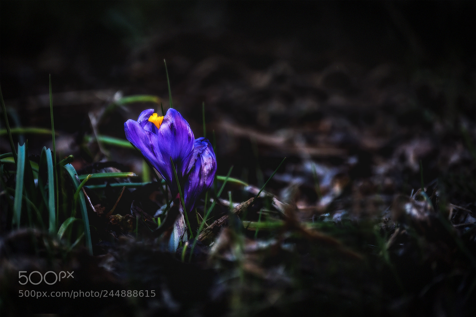 Nikon D3200 sample photo. () photography
