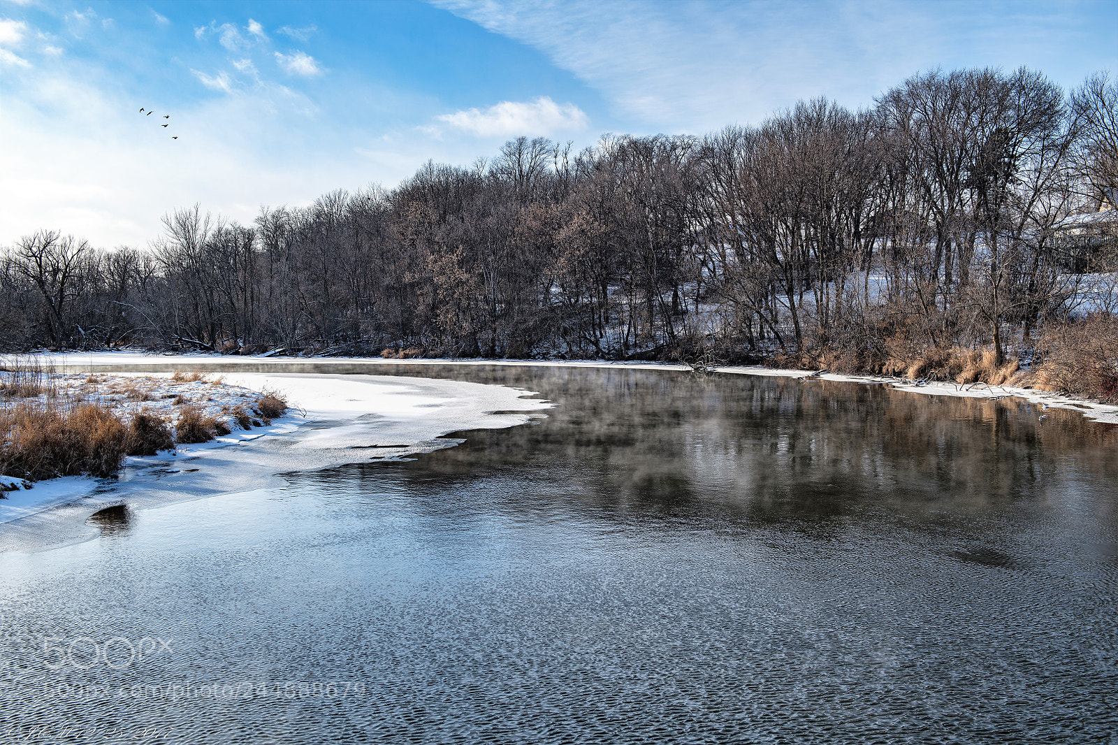 Nikon D850 sample photo. Winter beauty 2017: 1 photography