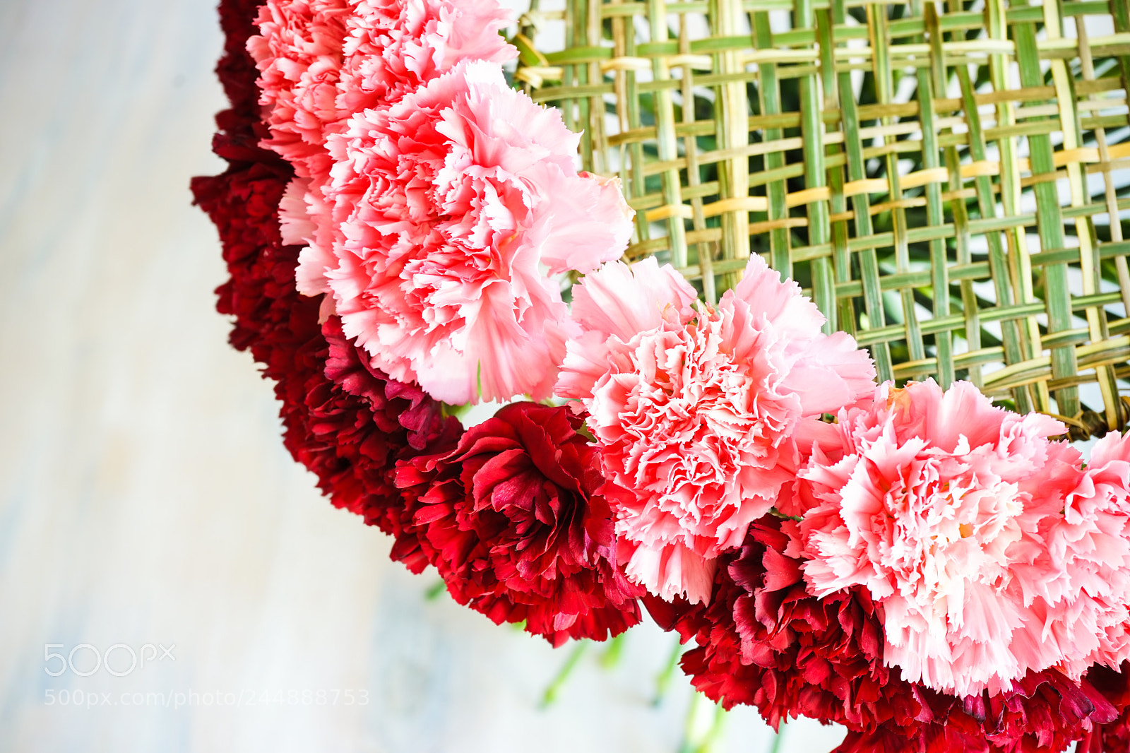 Sony a7 sample photo. Bouquet of fresh carnation photography