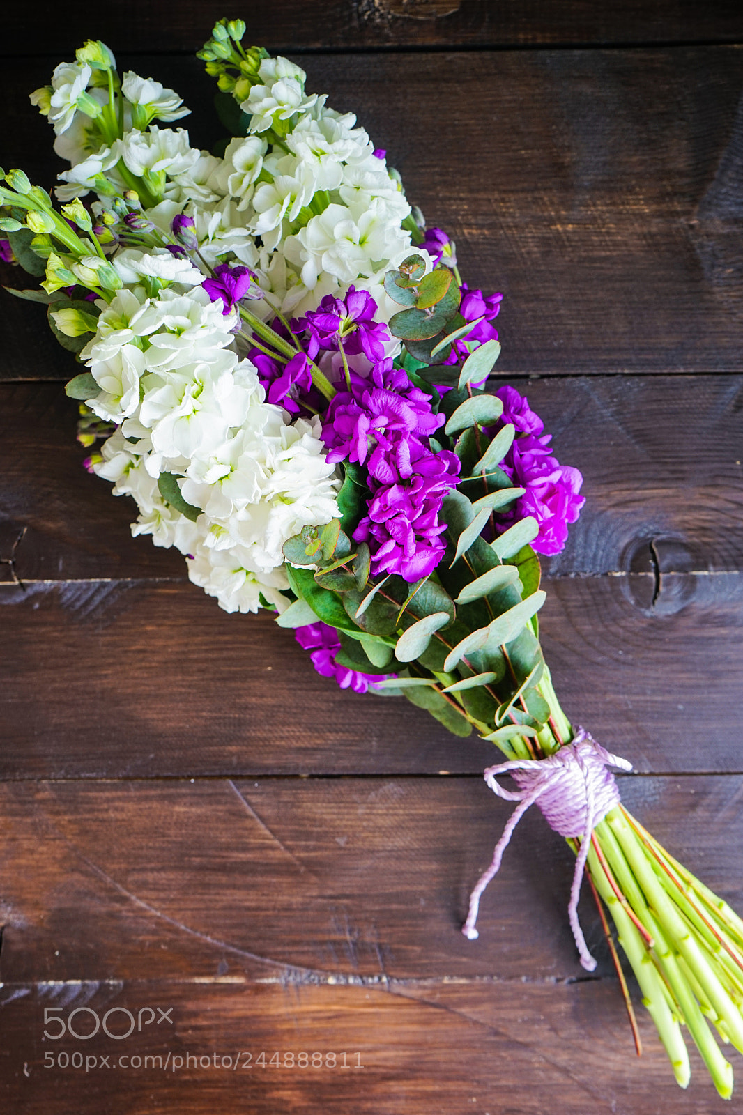 Sony a7 sample photo. Beautiful snapdragon flowers in photography