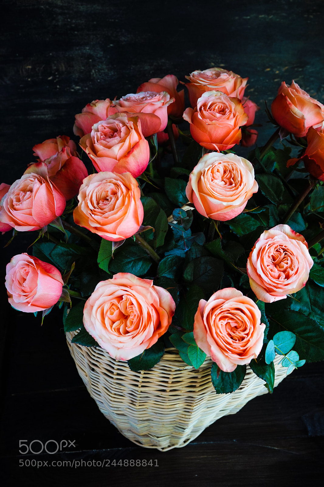 Sony a7 sample photo. Busket with fresh roses photography