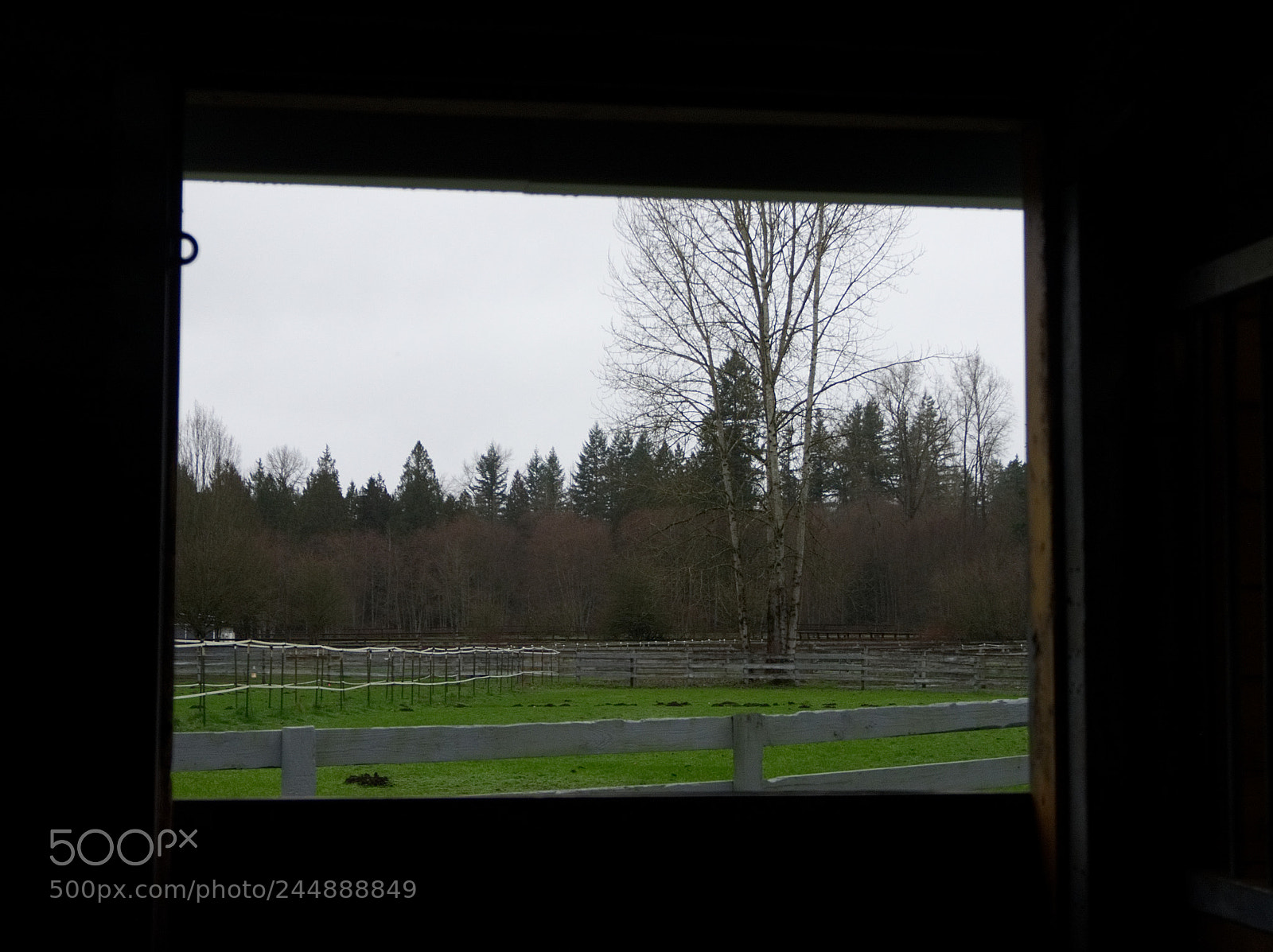 Olympus OM-D E-M5 sample photo. Through the barn window photography