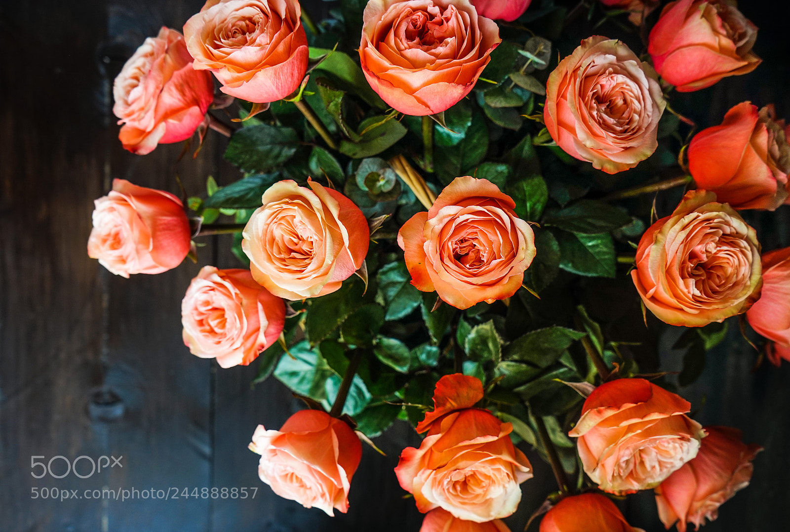 Sony a7 sample photo. Busket with fresh roses photography