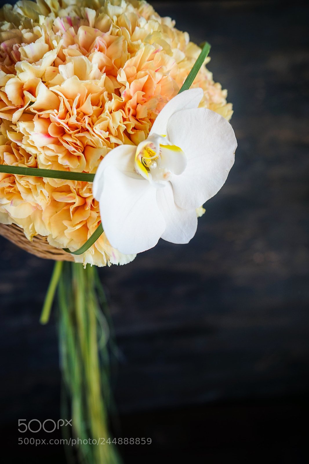 Sony a7 sample photo. Bouquet of fresh carnation photography