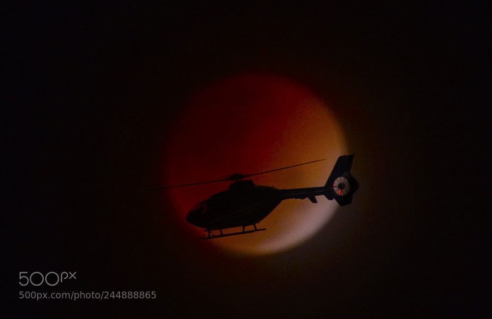 Nikon D7100 sample photo. Flight on a blood photography