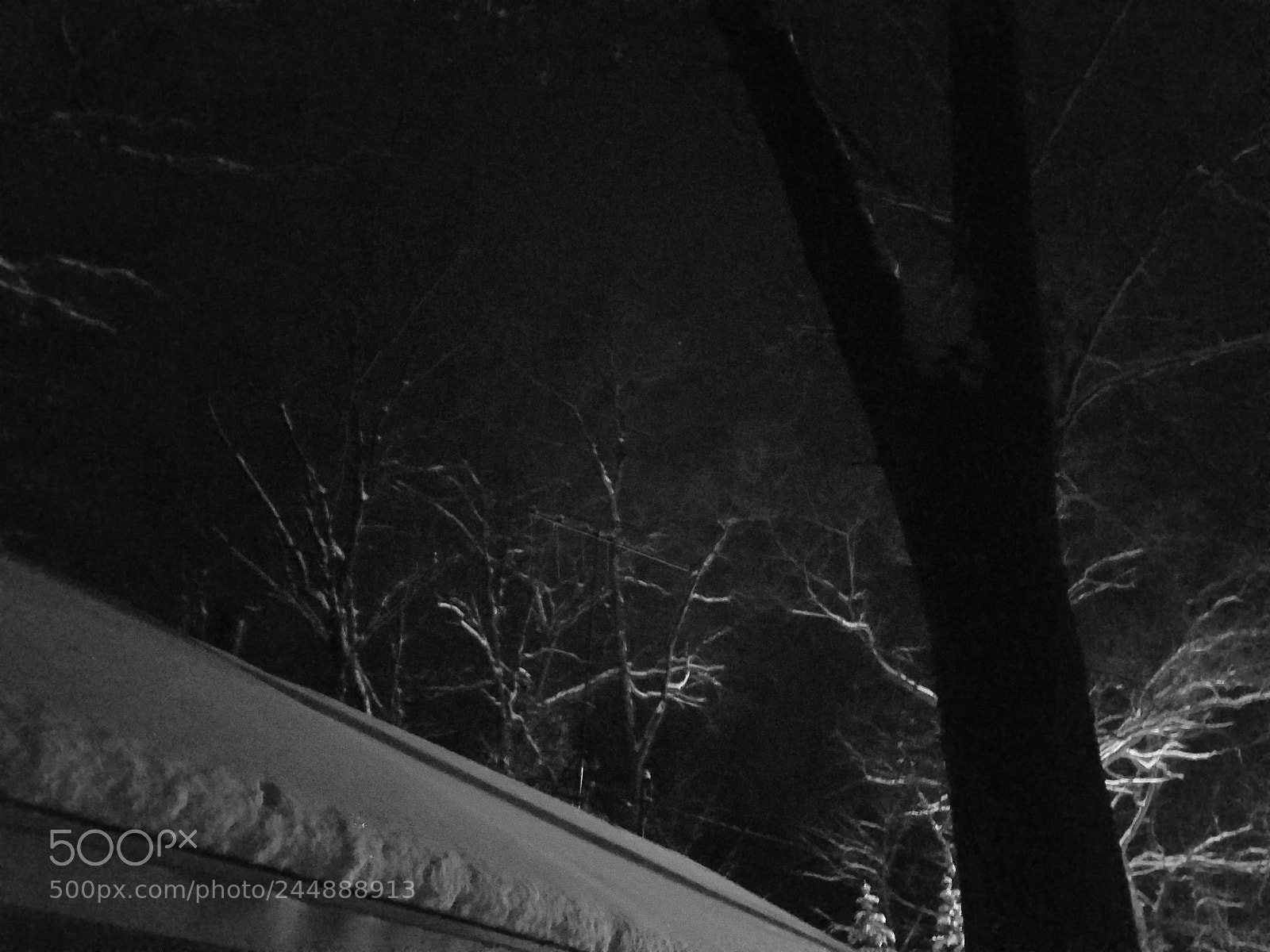 Samsung Galaxy S7 Edge sample photo. Snow glowing trees photography