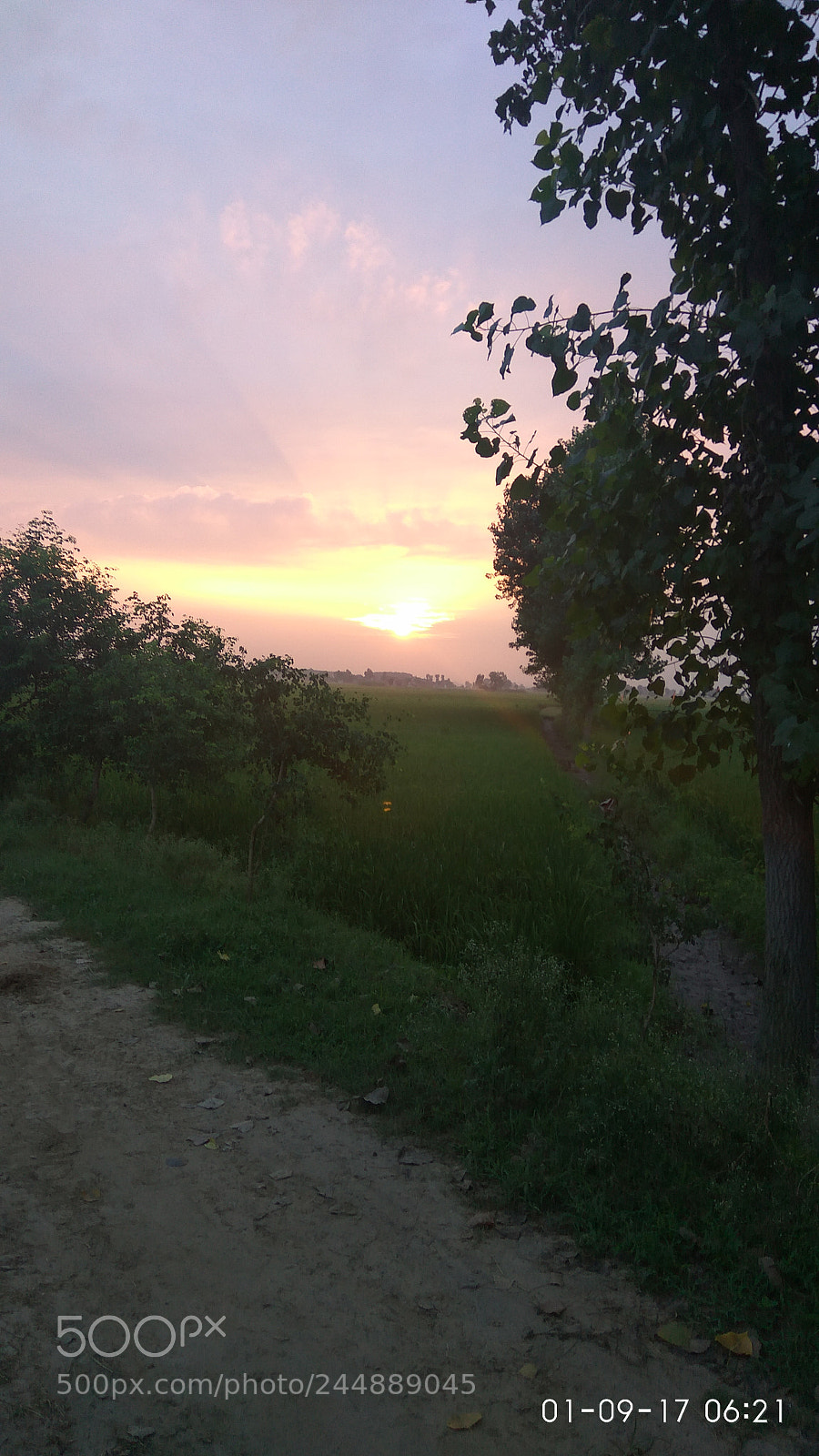 Xiaomi Redmi Note3 sample photo. Untitled photography