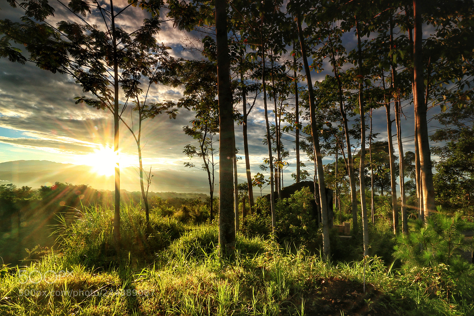 Canon EOS M5 sample photo. Landscape photography