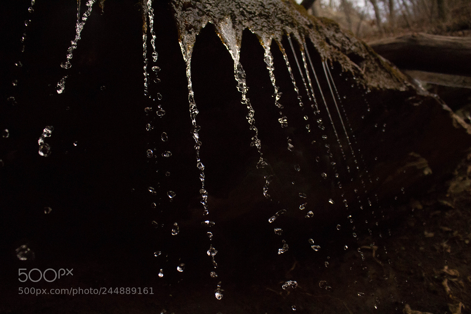 Canon EOS 700D (EOS Rebel T5i / EOS Kiss X7i) sample photo. In a drop of photography