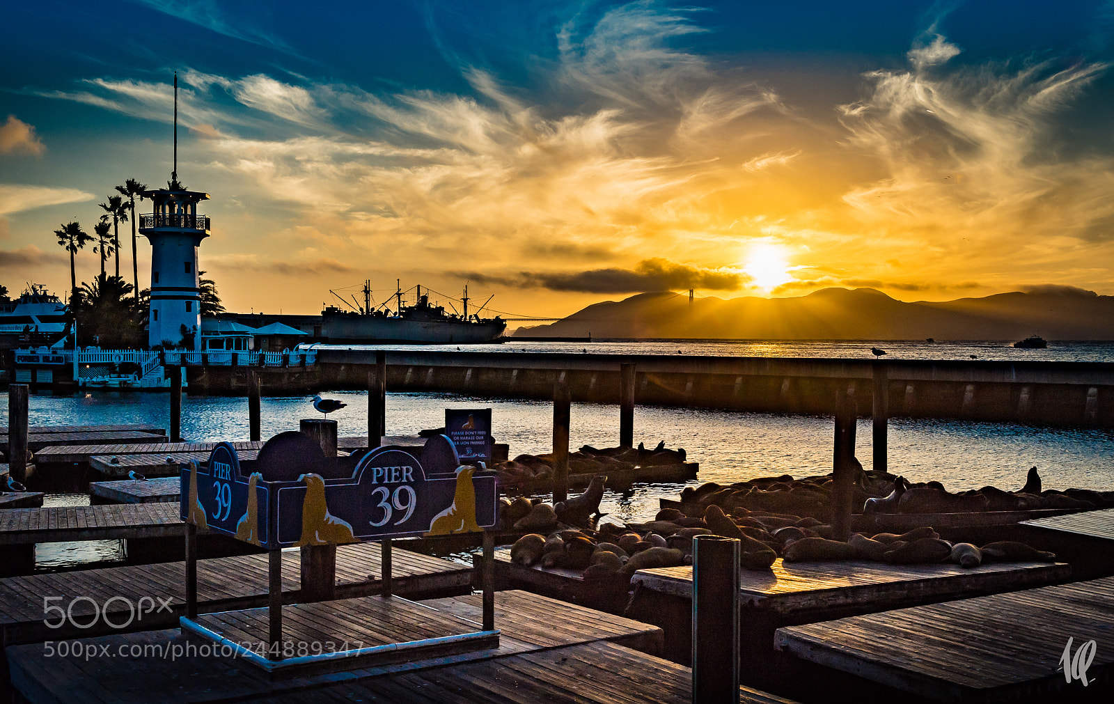 Nikon D5 sample photo. Pier 39 photography