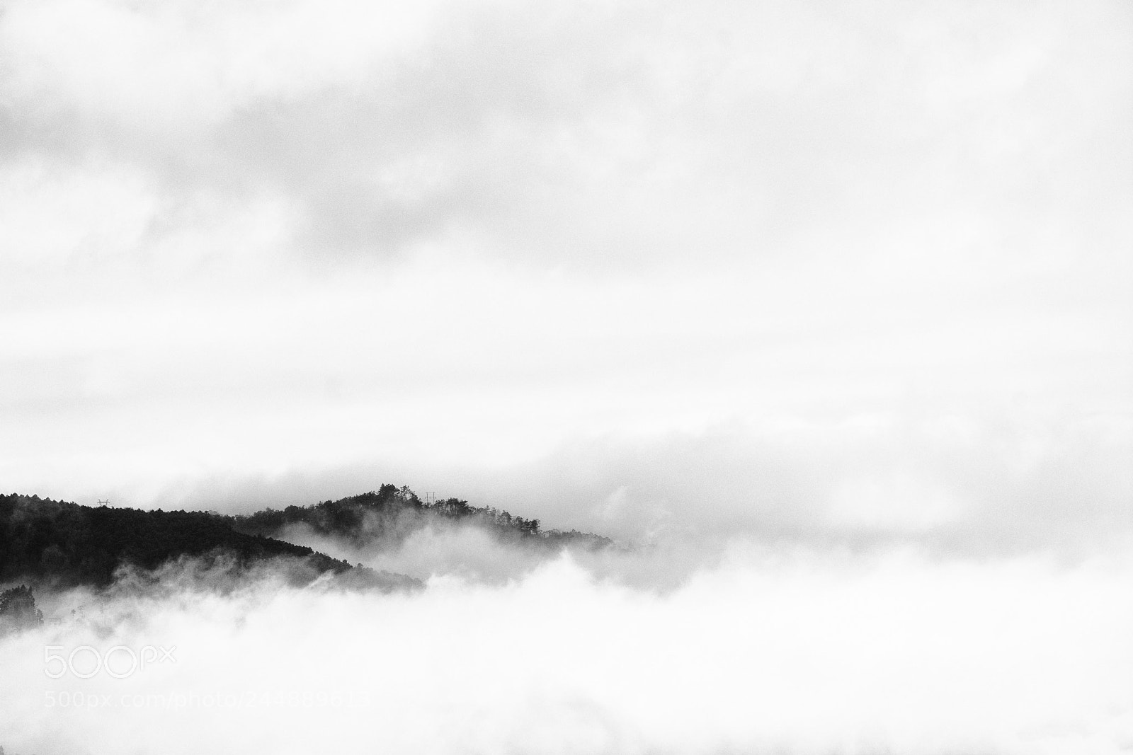 Sony a7R II sample photo. Untitled photography