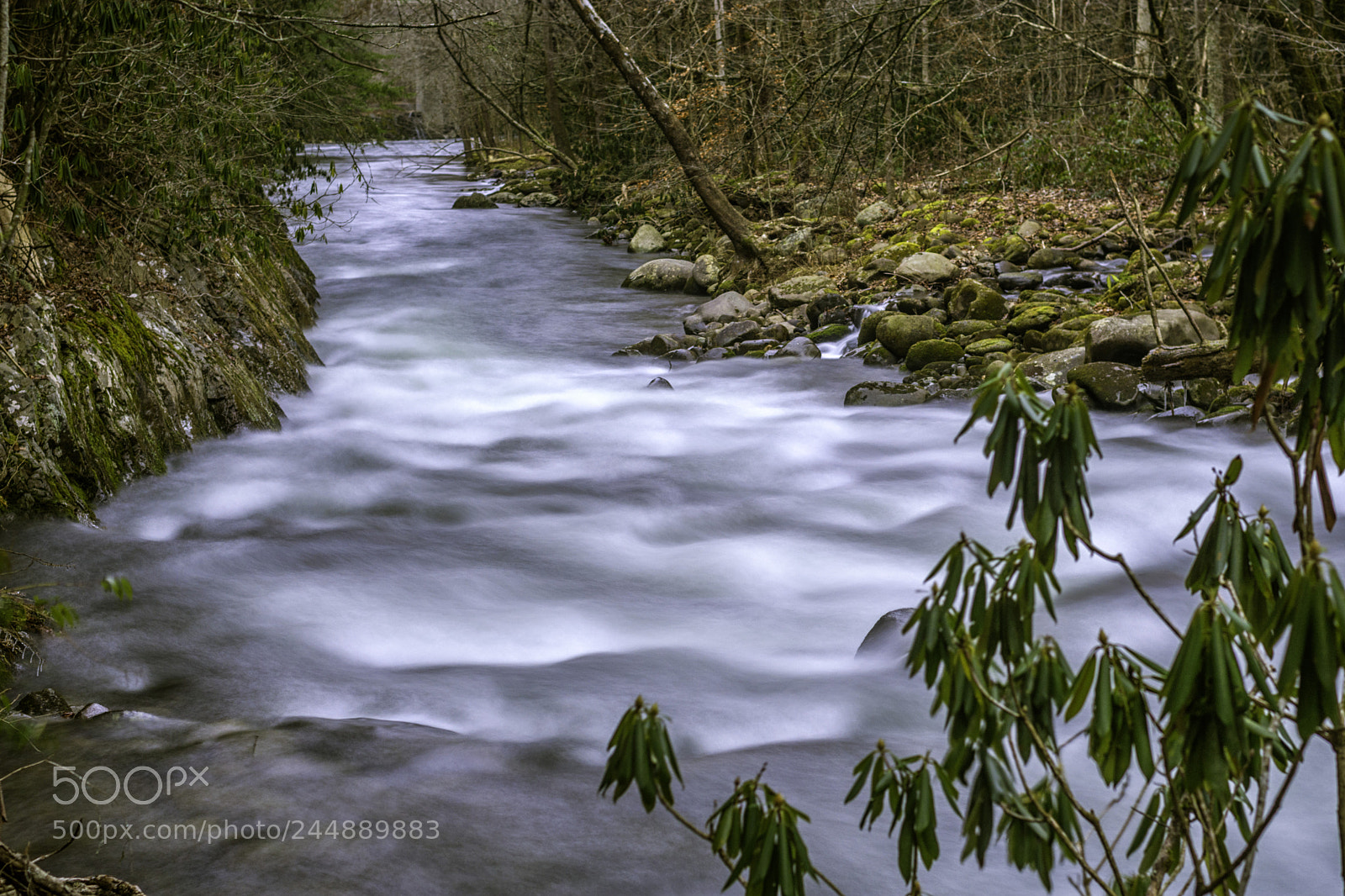 Nikon D7200 sample photo. Smoky mountain stream photography