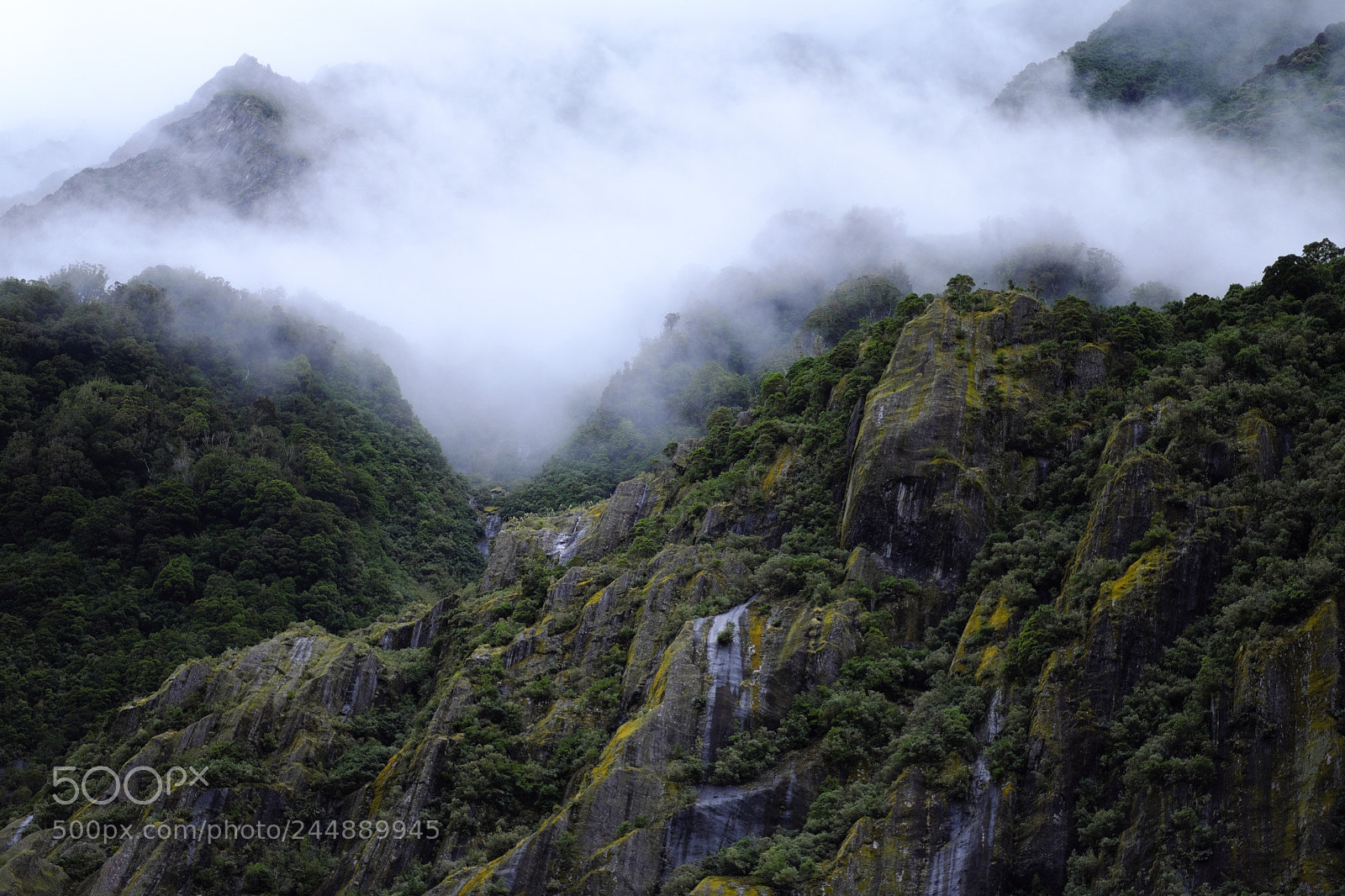 Fujifilm X-T2 sample photo. Near fox glacier photography