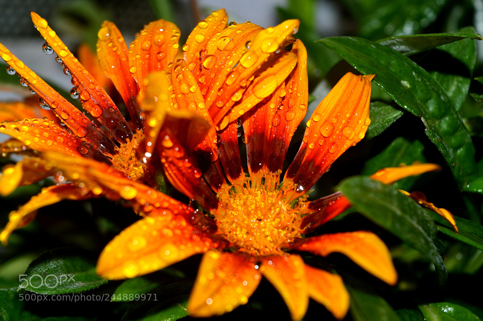 Nikon D3200 sample photo. Untitled photography